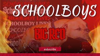 Schoolboy's Big Red