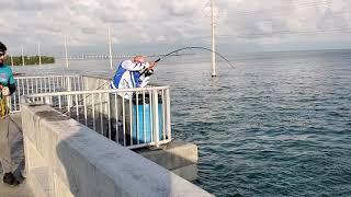 Pesca de PALOMETA con  TONY, Florida keys channel 2!