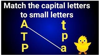 Match the capital letters to small letters for lkg |Match the letter uppercase and lowercase