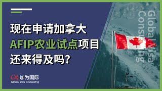 加拿大AFIP农业试点还来得及吗？这个项目会延期吗？