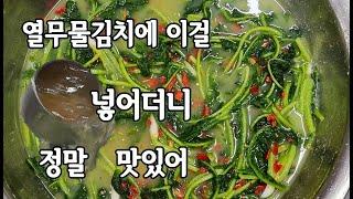 열무물김치 국물에 이걸 넣어더니 10배 이상 더 맛있어요 토종찬맛집 한식조리사님의 자세한 설명으로 초보자도 따라 할 수 있어요