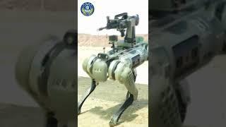 China’s military unveils robot dogs armed with rifles