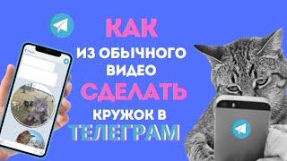 Как из обычного видео сделать кружок в телеграм? #телеграм