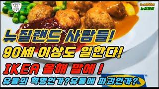 뉴질랜드 사람들 90세 이상도 일한다!- IKEA 올해 말에 오픈! 유통의 혁명인가? 유통의 파괴인가?