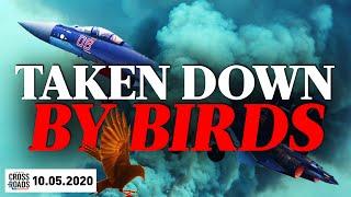 Birds Down a Chinese Fighter Jet; 'Riding the Dragon' Director Reveals Hunter Biden's China Deals