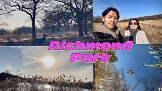 Richmond park,stunning weather uk #visit #richmondpark #nature #animals /Lanka rai!