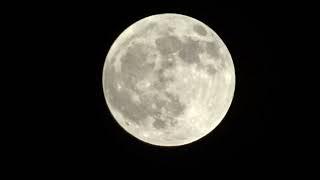 Exploring the Moon with a Sony Camera: Stunning Zoom Shots! #trending #trendingvideo #viralvideo