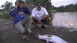 Fishing for Metre Barra with shallow Divers - Reel Action TV