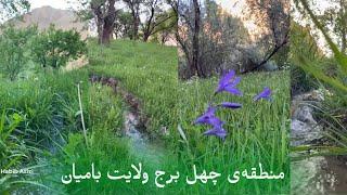 آبشار و طبیعت آرامش بخش منطقه‌ی چهل برج ولایت بامیان | Beautiful nature in Bamyan Province