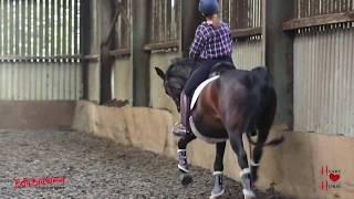 What does a dressage training session REALLY look like? Making WonkyHorse's trot special!