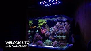 Welcome to CJ's Aquariums - Channel Trailer