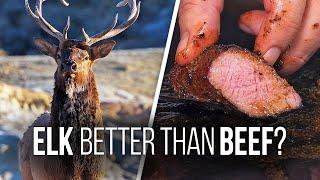 How to Cook ELK STEAKS - Is Elk Better Than Beef?