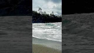 Tofino Beach ASMR - Serene Scenes