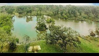 120 Acre Ranch, For Sale, Willis, TX ~ Lana Adler