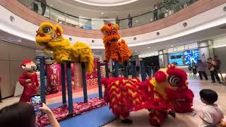 Lion dance acrobatic | Chinese New Year | Ians Tech