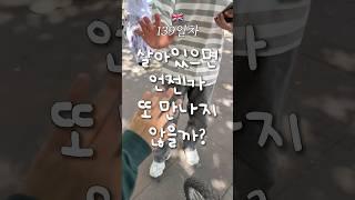 다시는 못 만날 걸 알아서 더 슬픈 이별  영국 어학연수