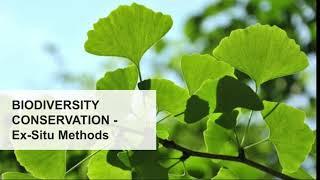 Biodiversity conservation- Ex situ methods