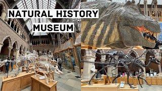 Natural History Museum, OXFORD 2022 | walkthrough museum 2022  | best oxford musuem