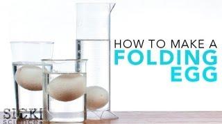 How to Make a Folding Egg - Sick Science! #121