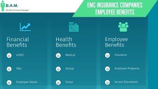 EMC Insurance Employee Benefits | Benefit Overview Summary