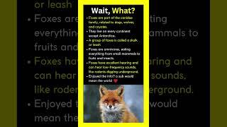 Foxes are more amazing than you think! #didyouknow