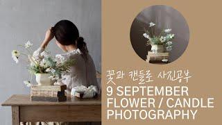 How to photograph flower / candle / 백드롭 패브릭 활용법 자연광촬영 / 디어무이 사진공부