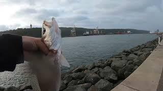 Snapper's At North Pier