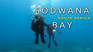 Our INCREDIBLE experience in Sodwana Bay | Overlanding South Africa | Matches on the Map Ep.04