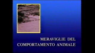 Meraviglie del comportamento animale - 1969