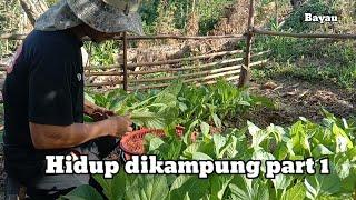 Hidup di kampung/Episode 1