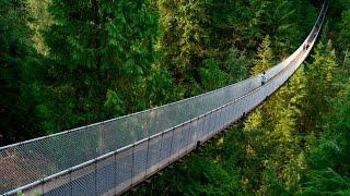 Capilano Suspension Bridge & Cliffwalk | Vancouver, BC