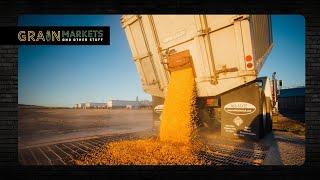 "Brick Wall" of Farmer Selling Caps Corn Rally