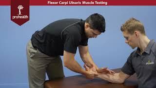 Flexor Carpi Ulnaris Muslce Test Palpation Dr Vizniak Muscle Manual