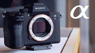 6 Months With The Sony a7S III - A FULL Review