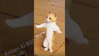 Aslam ki Billi Jaan Mewati #shortsvideo #shorts #short #short #skmewatiboy #viral