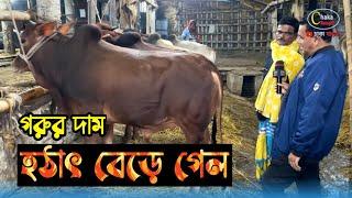 থার্টিফার্স্ট ও নতুন বছর উপলক্ষে হাটে প্রচুর গরু বেচাকেনা শুরু হয়েছে। গাবতলী গরুর ২০২৪