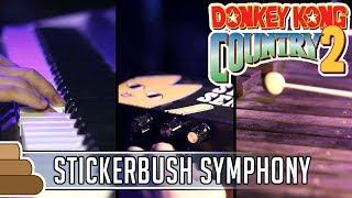 David Wise - Stickerbrush Symphony [Donkey Kong Country 2]