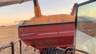 Combining 58lbs Corn