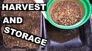 Harvest Worm Castings and Storage- Refresh Leftover bin