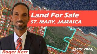 Land For Sale In St. Mary Jamaica  | September 2024