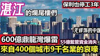 湛江鼎龍灣投資600億停工7個月，監管賬戶55億不翼而飛|湛江保利也停工3年湛江真的是投資客的天堂嗎|#無修飾的中國#保利爆雷#停工#湛江發展