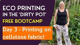 Free Eco Printing in the Dirty Pot Bootcamp - Day 3