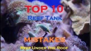 Top 10 Reef Tank Beginner Mistakes