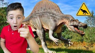 Dinosaur Museum  Learn Types of Dinosaurs for Kids  Dinosaurs for Kids