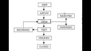 Software Testing Defect Bug Life Cycle