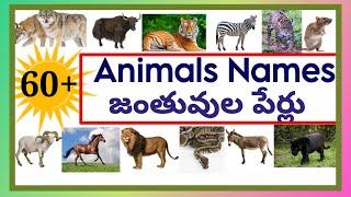 Names of Animals with images /జంతువుల పేర్లు/#animalsname @Lightning minds