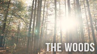 The Woods - A Short film shot with the Sony A7siii