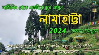 Lamahatta Tour Plan || Lamahatta Darjeeling Tour Guide || লামাহাট্টা , তাকদা , তিনচুলে || Darjeeling