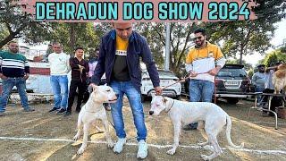 DEHRADUN DOG SHOW 2024 | 30 DOG BREEDS IN SHOW LIKE GREAT DANE, DOGO ARGENTINO AND MANY OTHERS