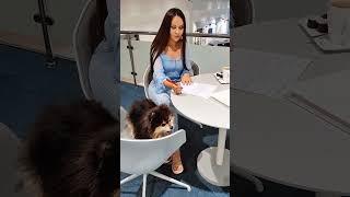 Если CHERY, то в Кунцево!